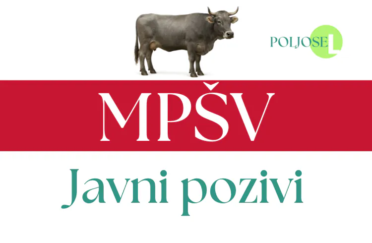 Javni poziv za dodjelu podrške za nabavku priplodnih grla u čistoj rasi za 2025. godinu