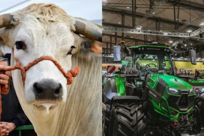 Otvoren 32. Jesenski međunarodni bjelovarski sajam u Gudovcu