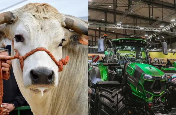 Otvoren 32. Jesenski međunarodni bjelovarski sajam u Gudovcu