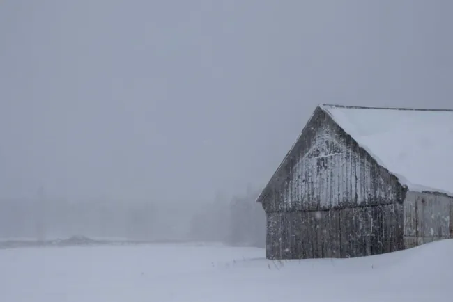 Čišćenje snijega sa krova štale - na šta obratiti pažnju?