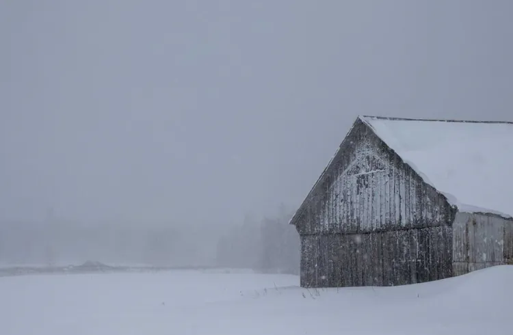 Čišćenje snijega sa krova štale - na šta obratiti pažnju?