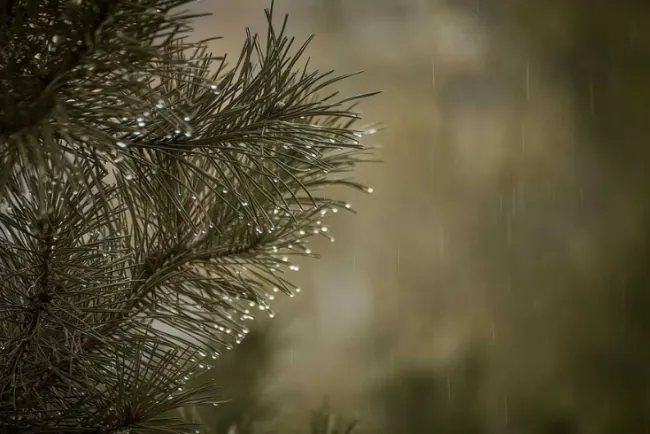 Neprestane kiše - za jug zlato, za sjever problem?