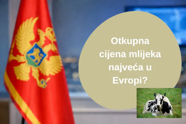 Joković: Otkupna cijena mlijeka je vjerovatno među najvećim u Evropi