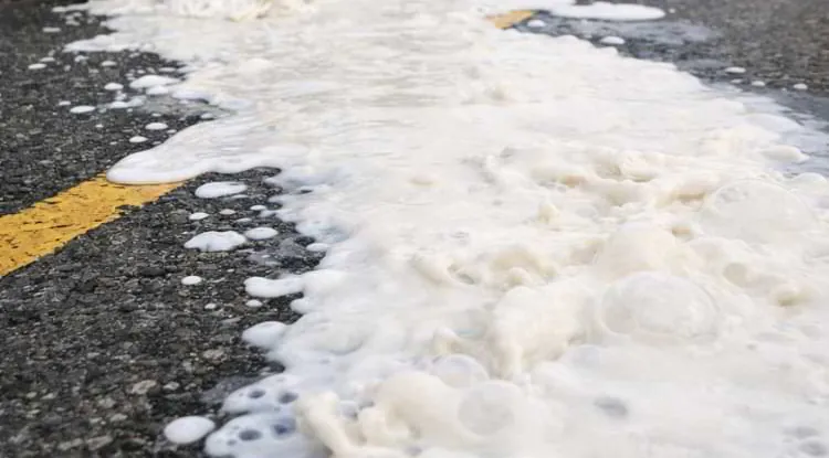 Kada mlijeko postane otpad: gdje puca lanac vrijednosti?