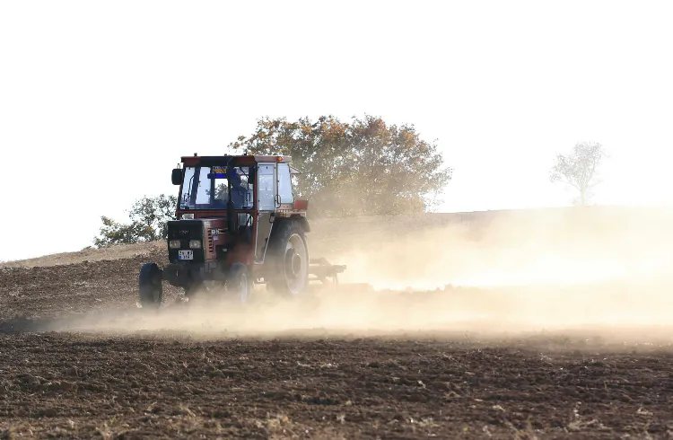 Azot u februaru - koristi ili je samo bacanje para?
