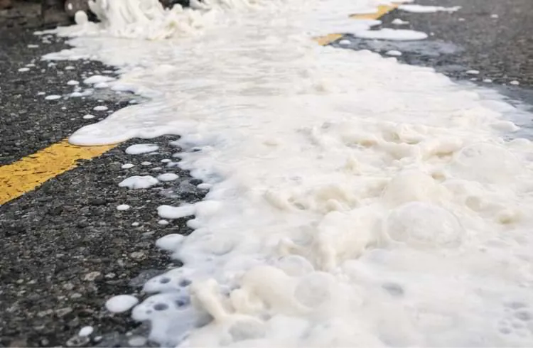 Kada mlijeko postane otpad: gdje puca lanac vrijednosti?