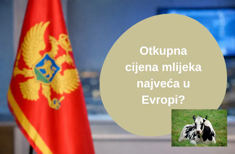 Joković: Otkupna cijena mlijeka je vjerovatno među najvećim u Evropi