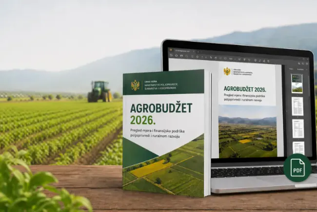 Detaljna analiza Agrobudžeta 2026: za junice 5 puta više, za proizvođače mlijeka 20% manje novca