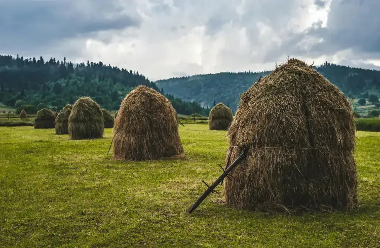 Otpočinjanje pripreme za prvu kosidbu livada