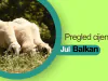 Nastavljen pad cijena jagnjadi u Srbiji - kakva je situacija na crnogorskom i bh. tržištu?
